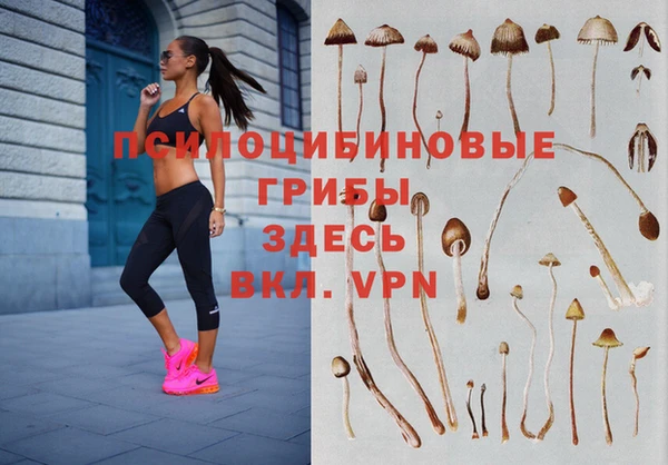 спиды Арсеньев