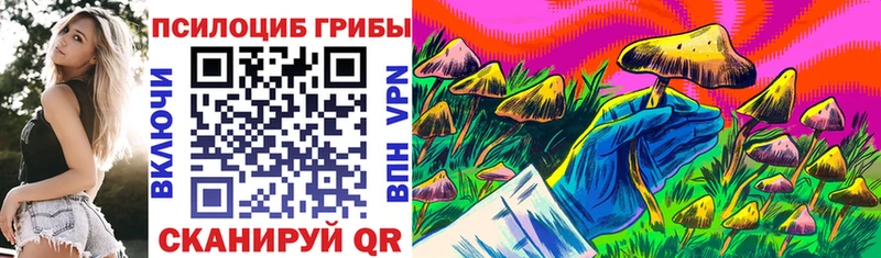 Галлюциногенные грибы прущие грибы  Берёзовский 